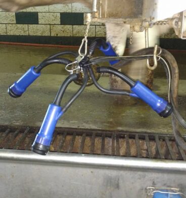 20989287_1684401231583482_4850345565103589160_o