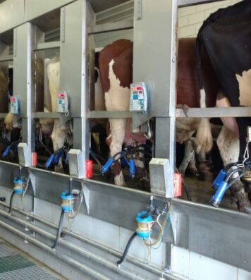 21015724_1684400784916860_6572911930519926365_o